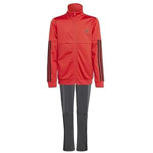 adidas Sportieve set van het merk B Team TS