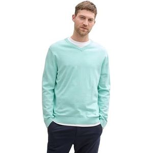 TOM TAILOR heren trui, 22232 - Soft Mint Green Melange, L