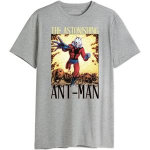Marvel T-shirt voor heren, Grijs Melange, XXL