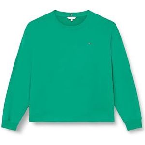 Tommy Hilfiger Dames CRV REG VLAG OP BORST SWTSHRT Olympisch Groen 50, Olympisch Groen, 50