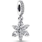 Charm colgante Pandora 792382C01 Timeless