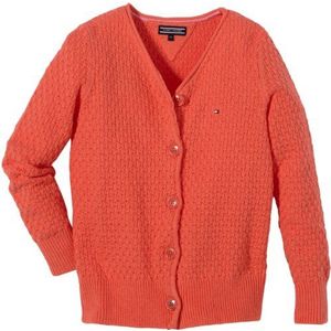 Tommy Hilfiger meisjes gebreide jas FANCY MINI VN CARDIGAN L/S ET57117946