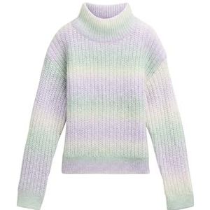 TOM TAILOR - Trui - Beige Lichtgroen Lichtlila - Knitwear - Lange Mouw