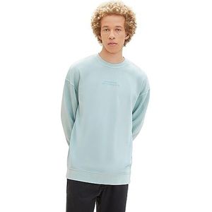 TOM TAILOR Denim Sweatshirt voor heren, 30463 - Dusty Mint Blue, S