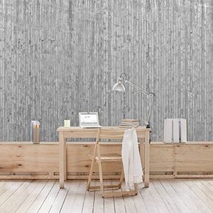 Apalis Betonbehang vliesbehang betonlook behang met strepen fotobehang breed | vliesbehang wandbehang muurschildering foto 3D fotobehang voor slaapkamer woonkamer keuken | grijs, 106113