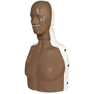 3B Scientific P72/1 Basic-Life-ondersteuning simulator ""Basic Billy"", donker