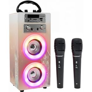 DYNASONIC Draagbare Karaoke Machine, 2 Microfoons, Bluetooth Luidspreker, Verlichting, USB- en SD-lezer, Cadeau voor Kinderen 5-16 Jaar (Model 19)