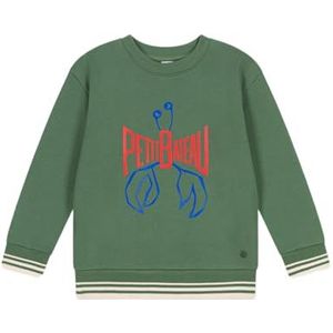 Petit Bateau Sweatshirt voor kinderen en jongens, Blauw, 6 jaar