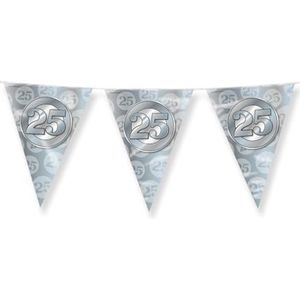 PD-Party 7031035 Feest Bunting | Elegant - 25th, Zilver, Folie Bunting, Wedding Anniversary, Feest Decoraties Vlaggen, 1000cm Lengte x 30cm Breedte x 0.1cm Hoogte