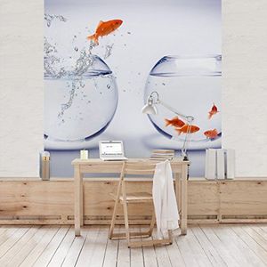 Apalis Vliesbehang Flying Goldfish Fotobehang Vierkant | Fleece Behang Muurbehang Foto 3D Fotobehang voor Slaapkamer Woonkamer Keuken | Grootte: 240x240 cm, meerkleurig, 97662