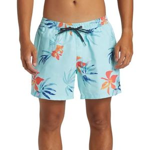 Quiksilver Heren Everyday Mix Volley 15 zwempak, Limpet Shell, L, limpet shell, L