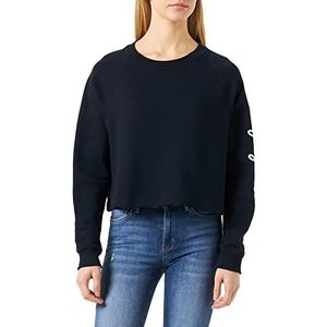 Tommy Hilfiger Pullover Hoody voor dames, Blauw (Woestijnhemel), L