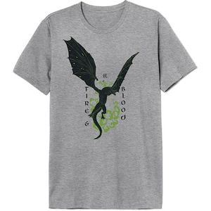 House of the Dragon Fire & Blood MEHOFTDTS020 T-shirt voor heren, grijs melange, maat 3XL, Grijs Melange, 3XL
