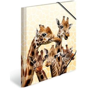 HERMA 19957 verzamelmap DIN A4 exotische dieren giraffenvrienden, set van 3 stevige kunststof, opbergmap met bedrukte binnenkleppen en elastiek, documentenmap voor kinderen, jongens en meisjes