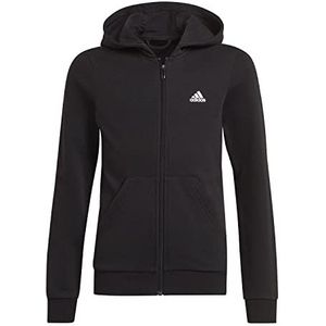 adidas Sweatshirt met capuchon GS2165 Meisjes