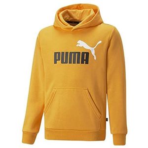 PUMA ESS+ 2 Col Big Logo Hoodie FL B Fleece Sweatshirt Unisex Baby