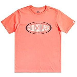 Quiksilver T-shirt voor jongens, roze, maat XL/16