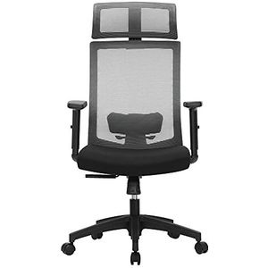 SONGMICS OBN55BG Bureaustoel, bureaustoel met netbespanning, verstelbare lendensteun, hoofdsteun en armleuningen, vergrendelbare hellingshoek tot 120°, 660 (97-105,5) cm,Grijs ,Grijs/Zwart