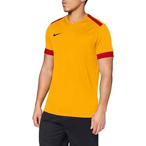 Nike Heren Dry Park Derby II Football Jersey T-shirt, Wit Goud/Zwart, M