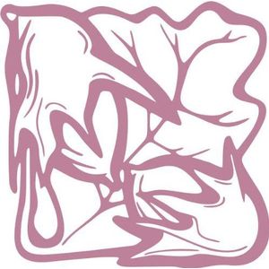 INDIGOS/Muursticker-e60 mooi bladerwerk blad bloemen planten rankjes 80x80 cm violet, vinyl, 80 x 80 x 1 cm