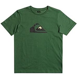 Quiksilver Ss YTH T-shirt voor jongens (pak van 1)