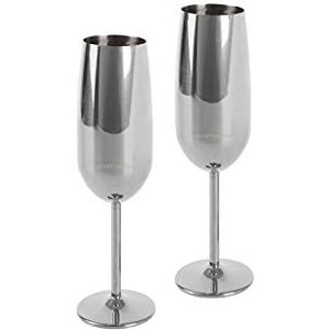 ECHTWERK Champagneglas, champagneglas, champagneglas van roestvrij staal, onbreekbare glazen, feestglazen voor bruiloft/verjaardag/picknick, cadeauset, 2-delig, 250 ml, zilver-editie