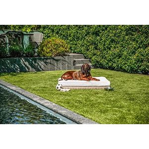 greemotion PET hondenbed van polyrattan inclusief kussen, ca. 95 x 15 x 65 cm