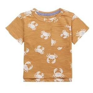 Noppies Baby-jongens T-shirt Mentor All Over Print T-shirt, Apple Cinnamon - P005, 74 cm