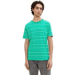 TOM TAILOR Denim Uomini T-shirt 1035594, 31374 - Green Broken Yd Stripe, L