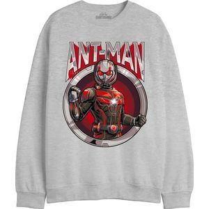 Marvel Antman - Antman Circle MEANTMMSW012 sweatshirt voor heren, grijs melange, maat M, Grijs Melange, M