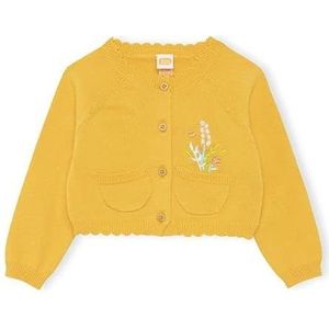 Tuc Tuc Picnic Time tricot jas voor baby's, Oranje, 12 meses