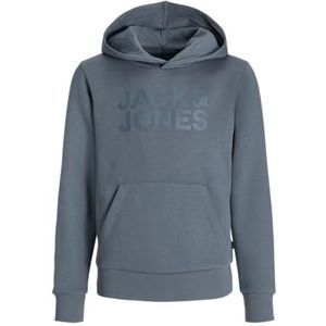 JACK & JONES - MINI - Sweatshirt - Grafiet - Capuchon