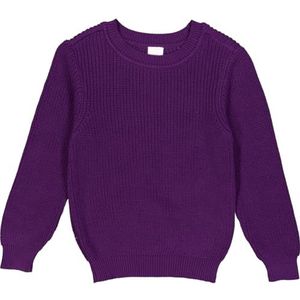 Fred's World by Green Cotton Knit Chunky Sweater, Sonic Purple, 110 EU, Sonic Purple, 110