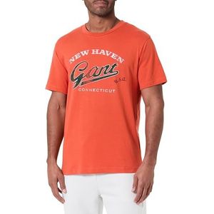 Graphic SS T-shirt, oranje, S