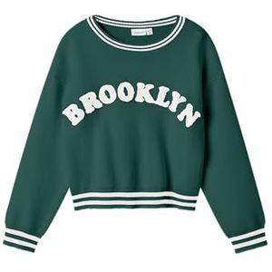 NAME IT Nkfneppa Ls Knit, AVENTURINE, 116