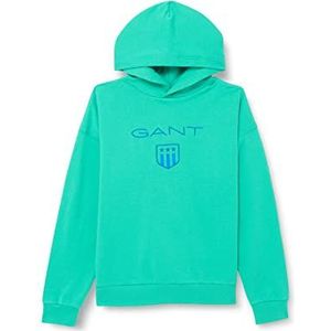 GANT Jongens D2. Contrast Shield Relaxed Hoodie Pullover met capuchon, Pool Green, Standaard