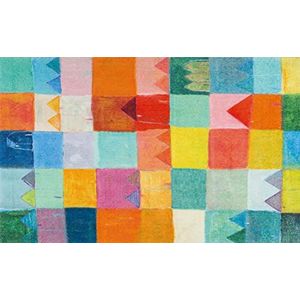 wash + dry mat, polyamide, meerkleurig, 110 x 175 cm