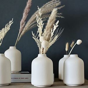 Carrot's Den - Set van 6 kleine witte keramische knopvazen voor woondecoratie | Boho vazen voor droge bloemen + kamerplanten | bruiloft, huis, middelpunt, modern, minimalistisch