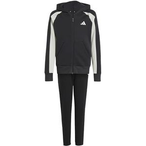 Adidas - Seasonal Essentials - Trainingspak - Kleurblock - Fleece