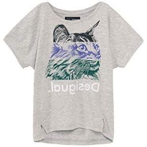 Desigual T-shirt voor meisjes, grijs (gris vigore claro 2042), 116 cm