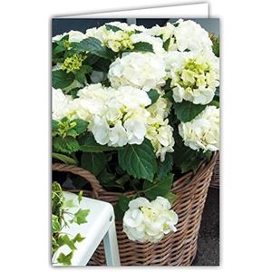 AFIE Kaart zonder tekst om te schrijven bij alle gelegenheden – verjaardag, bedankje, liefdevolle gedachten voor jou – witte bloemen hortensia's – incl. envelop – gemaakt in Frankrijk 65-1328