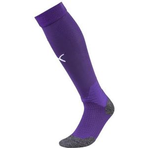 PUMA Men's Team Liga Socks