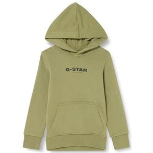 G-STAR RAW Jongens Ss23203 HDD Sweater, groen (Sage D24988-01-724), 6 Jaar
