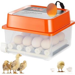 VEVOR Automatische broedmachine voor broedeieren, automatisch draaien, 12 eieren met temperatuur- en vochtigheidsregeling, transparante basis voor het uitbreken van kippeneieren, eend, kwartel