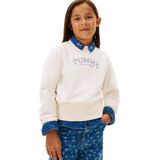 TOMMY HILFIGER Sweatshirt  navy / lavendel / wit