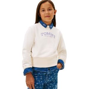 TOMMY HILFIGER Sweatshirt  navy / lavendel / wit