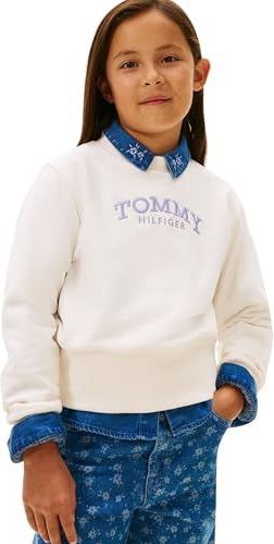 TOMMY HILFIGER Sweatshirt  navy / lavendel / wit