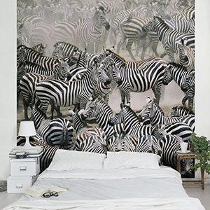 Apalis Vliesbehang zebrafornuizen fotobehang vierkant | vliesbehang wandbehang foto 3D fotobehang voor slaapkamer woonkamer keuken | Maat: 336x336 cm, grijs, 95513