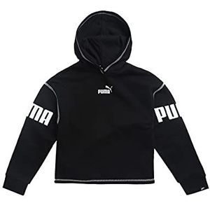 Puma - PUMA POWER HOODIE - Sweater - Zwart