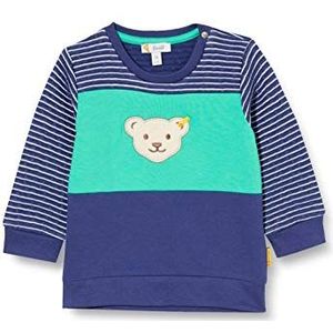 Steiff Baby-jongens sweatshirt kleine kinderen T-shirt-set